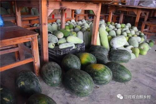 楼内吃瓜,邻里间的趣味生活瞬间