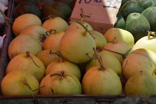 用纸做吃瓜,用纸制作创意吃瓜美食