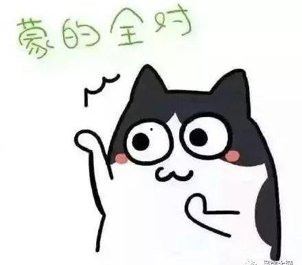 吃瓜抖哥,揭秘娱乐圈幕后故事