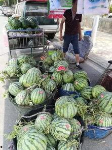 陇南徽县吃瓜事件,一场引发社会关注的误会风波