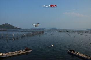 落霞大区吃瓜,吃瓜群众的热闹盛宴