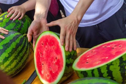 云南昆明高校吃瓜,一场别开生面的“吃瓜”盛宴