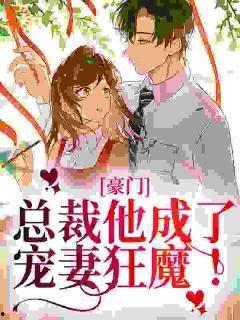 呆瓜吃瓜小说完结,一场笑料百出的奇幻冒险之旅