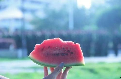 安静吃瓜特效,尽享生活美好——揭秘安静吃瓜的神奇魅力