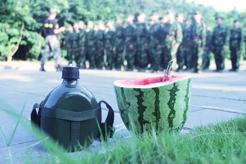 安静吃瓜特效,尽享生活美好——揭秘安静吃瓜的神奇魅力