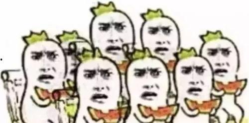 吃瓜群众朱哥,揭秘娱乐圈那些不为人知的幕后故事