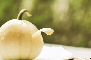 捧瓜什么季节吃,清凉一夏的甜蜜享受