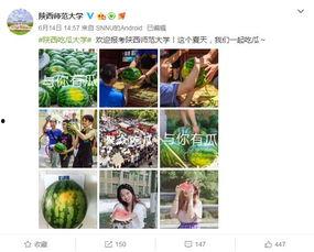 学校直播吃瓜,一场别开生面的“吃瓜”盛宴