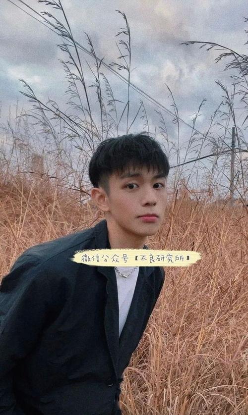 吃瓜乐仔,揭秘娱乐圈幕后故事