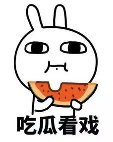 吃瓜乐仔,揭秘娱乐圈幕后故事