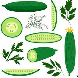 吃瓜就浑身没劲,竟致浑身乏力？揭秘“吃瓜疲劳”现象