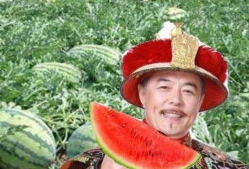 乾隆路过吃瓜,宫廷偶遇民间小吃