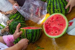 吃瓜视频判刑了吗,判刑真相大揭秘