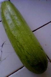 笋瓜吃瓜视频链接,揭秘热门视频背后的趣味与真相