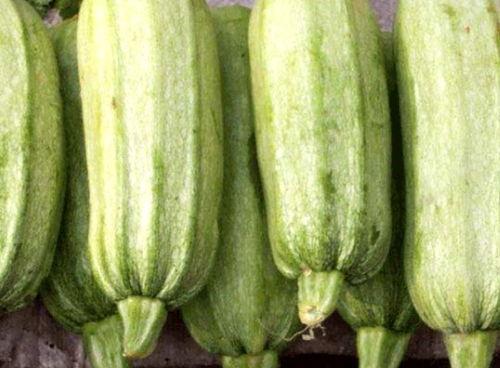 笋瓜吃瓜视频链接,揭秘热门视频背后的趣味与真相