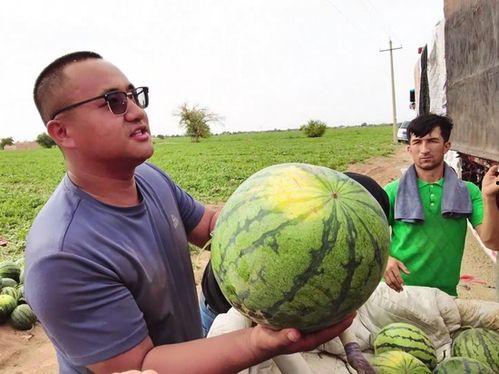 阿西吃瓜,揭秘娱乐圈背后的那些事儿