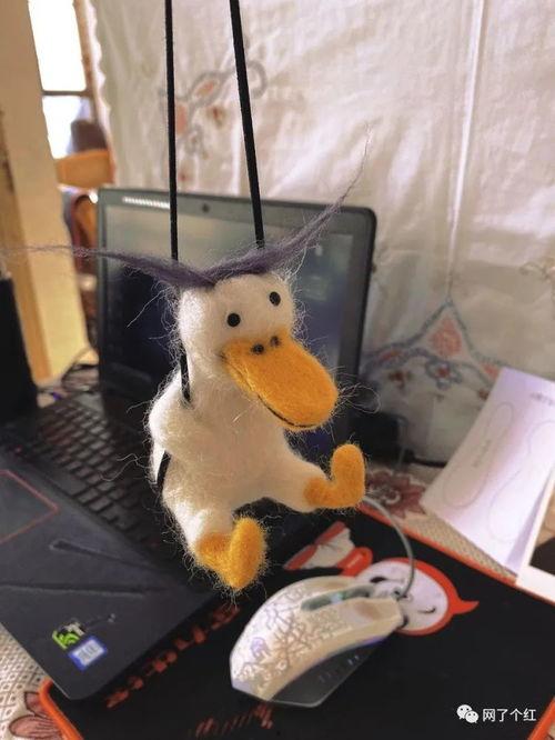 鸭子吃洋瓜吗怎么吃,探索鸭嘴下的洋瓜美味