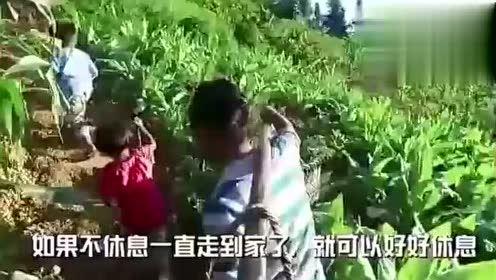 欲梦吃瓜视频资源,揭秘热门视频资源背后的故事