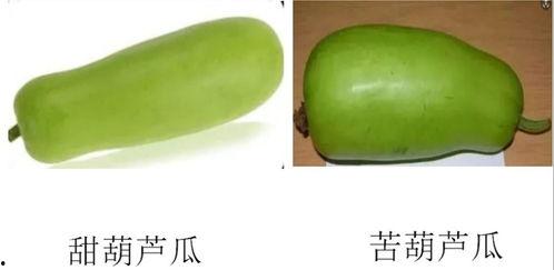 淄博奥维吃瓜,揭秘背后的真相与争议