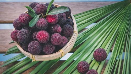 晚上吃哈密瓜吃杨梅,哈密瓜与杨梅的甜蜜邂逅