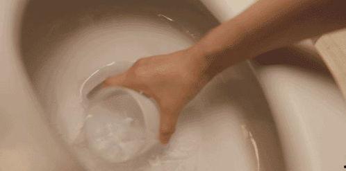 马桶吃瓜视频,揭秘网络热梗背后的趣味与思考