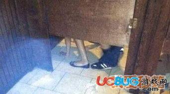 马桶吃瓜视频,揭秘网络热梗背后的趣味与思考