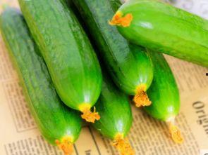 孕妇吃长角瓜,长角瓜助力母婴健康