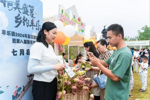 肥西县吃瓜,瓜果飘香，品味田园生活