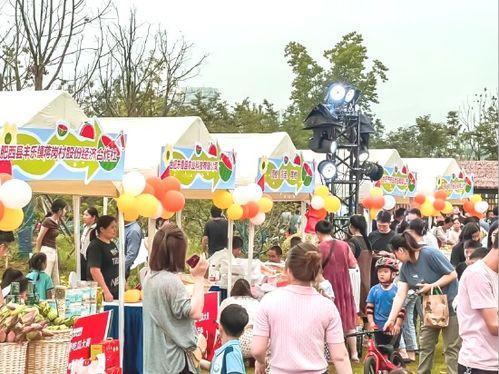 肥西县吃瓜,瓜果飘香，品味田园生活