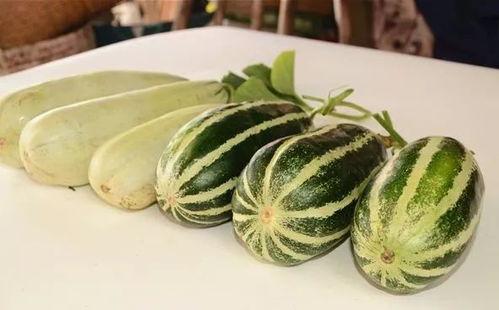 857爆料吃瓜网红,吃瓜爆料背后的真相与争议