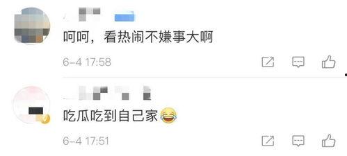 炒作吃瓜案例分析,从吃瓜案例看流量时代的舆论操控