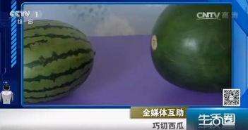 是谁吃瓜不吐籽,揭秘“吃瓜不吐籽”背后的趣味人生